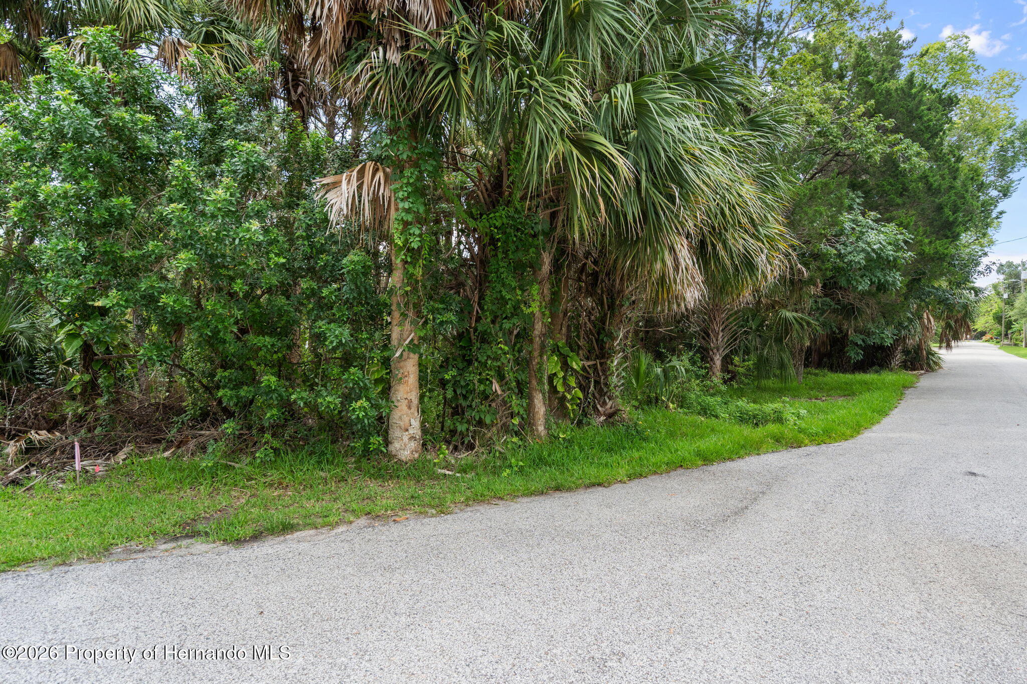 Land in Weeki Wachee