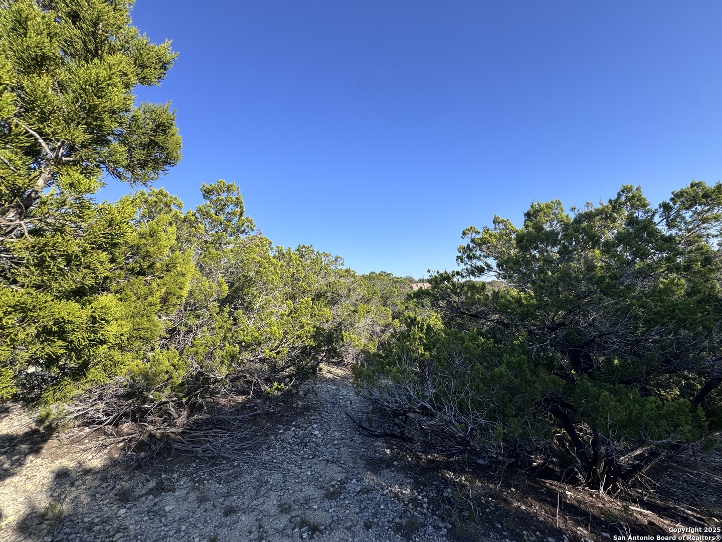 Land in Bandera 3