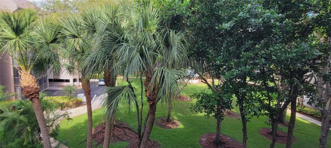 APT-585K - 2818 N 46 Th Ave, Condo with 2 bedrooms, 3 bathrooms and null parking in Hollywood FL | Image 8
