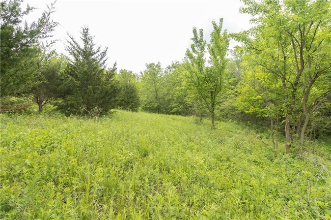 View of woods | Image 20
