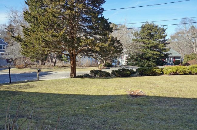 Front Yard | Image 5