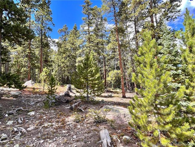676 Dry Gulch Rd, Home with 0 bedrooms, 0 bathrooms and null parking in Fairplay CO | Image 5