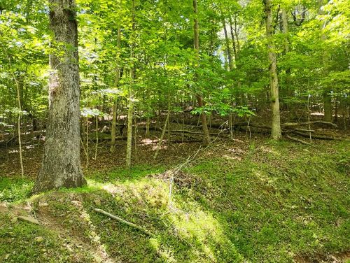 0 Gladstone Ct, Ellijay, GA, 30540 | Card Image