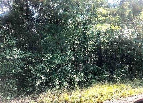 TBD Enid Dr, Cherokee Village, AR, 72529 | Card Image