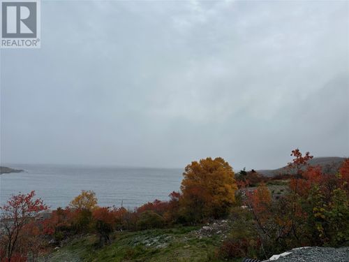 41-45 Motion Bay Rd, Petty Harbour, NL, A0A3H0 | Card Image