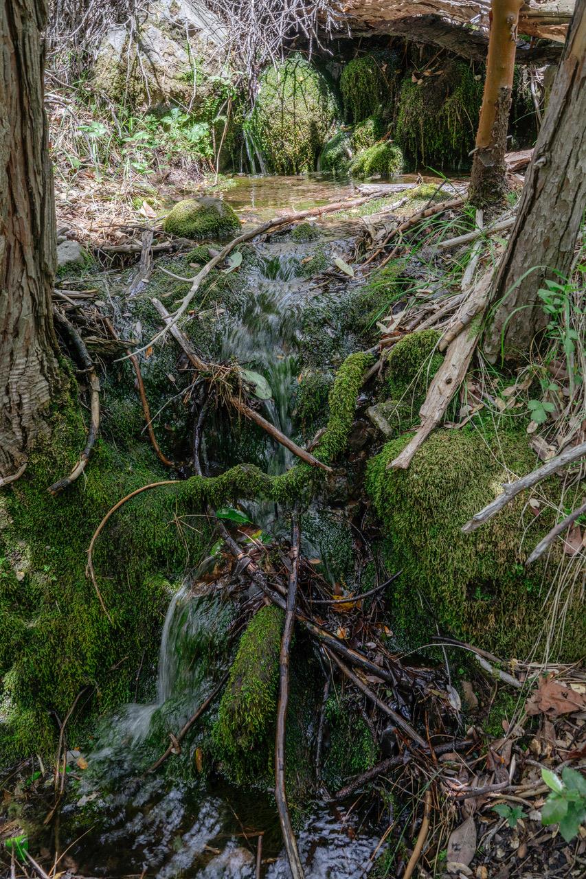 Land in Nevada City 3
