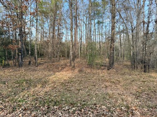 TBD Indian Oaks, Livingston, TX, 77351 | Card Image