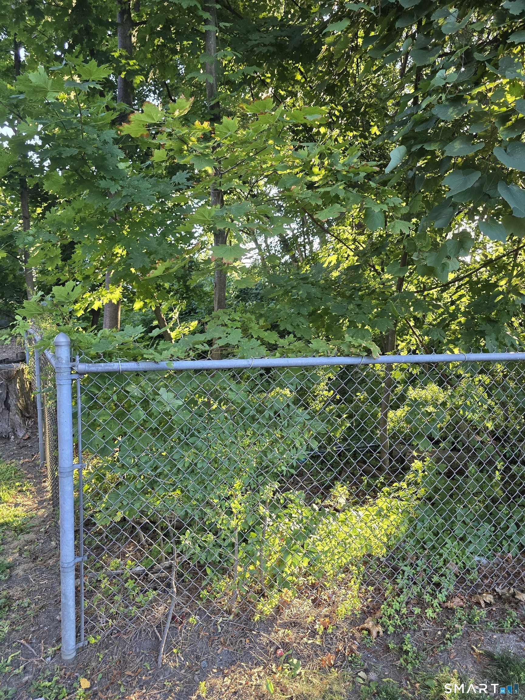 Commercial Lease in Danbury 3