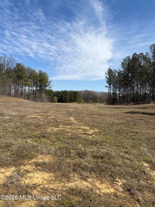 35 Deerwood Drive, Lake Cormorant, MS, 38641 | Card Image