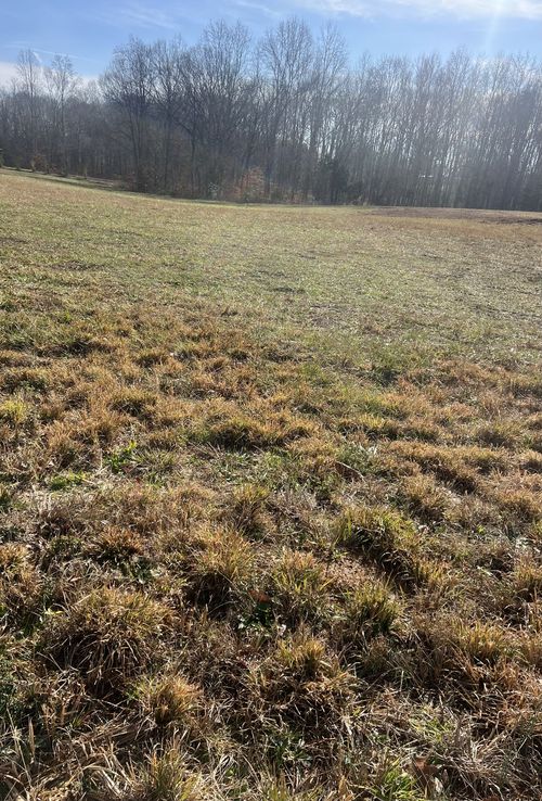 4104 Riley Creek Rd, Normandy, TN, 37360-3036 | Card Image