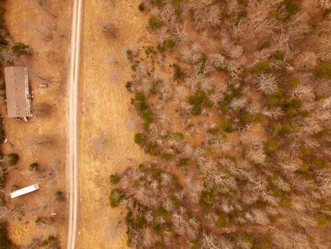 Lot 21 For Sale Arkansas Ozarks2 | Image 5