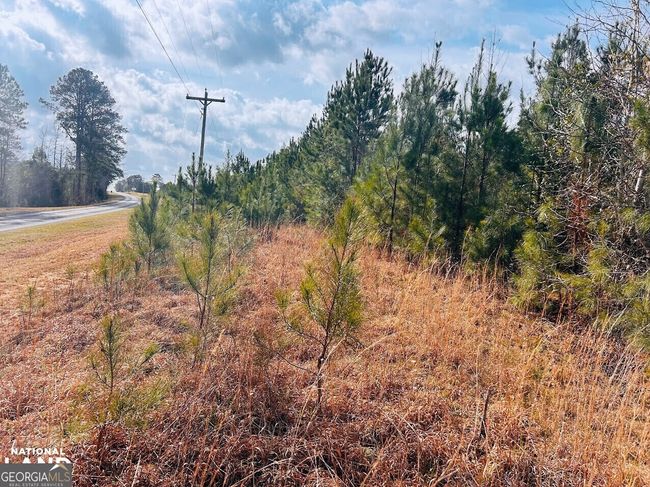 0 County Road 36, Home with 0 bedrooms, 0 bathrooms and null parking in Eufaula AL | Image 15