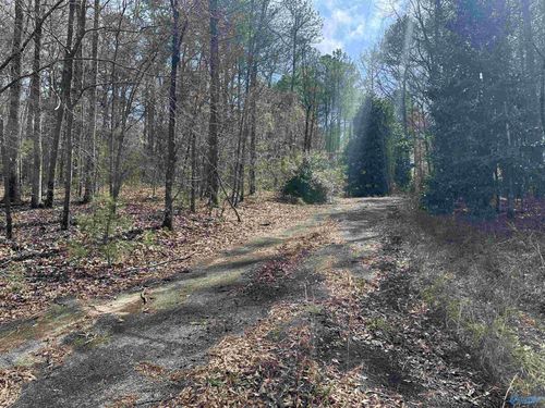 Lot 0 Dearmanville Rd, Anniston, AL, 36207 | Card Image