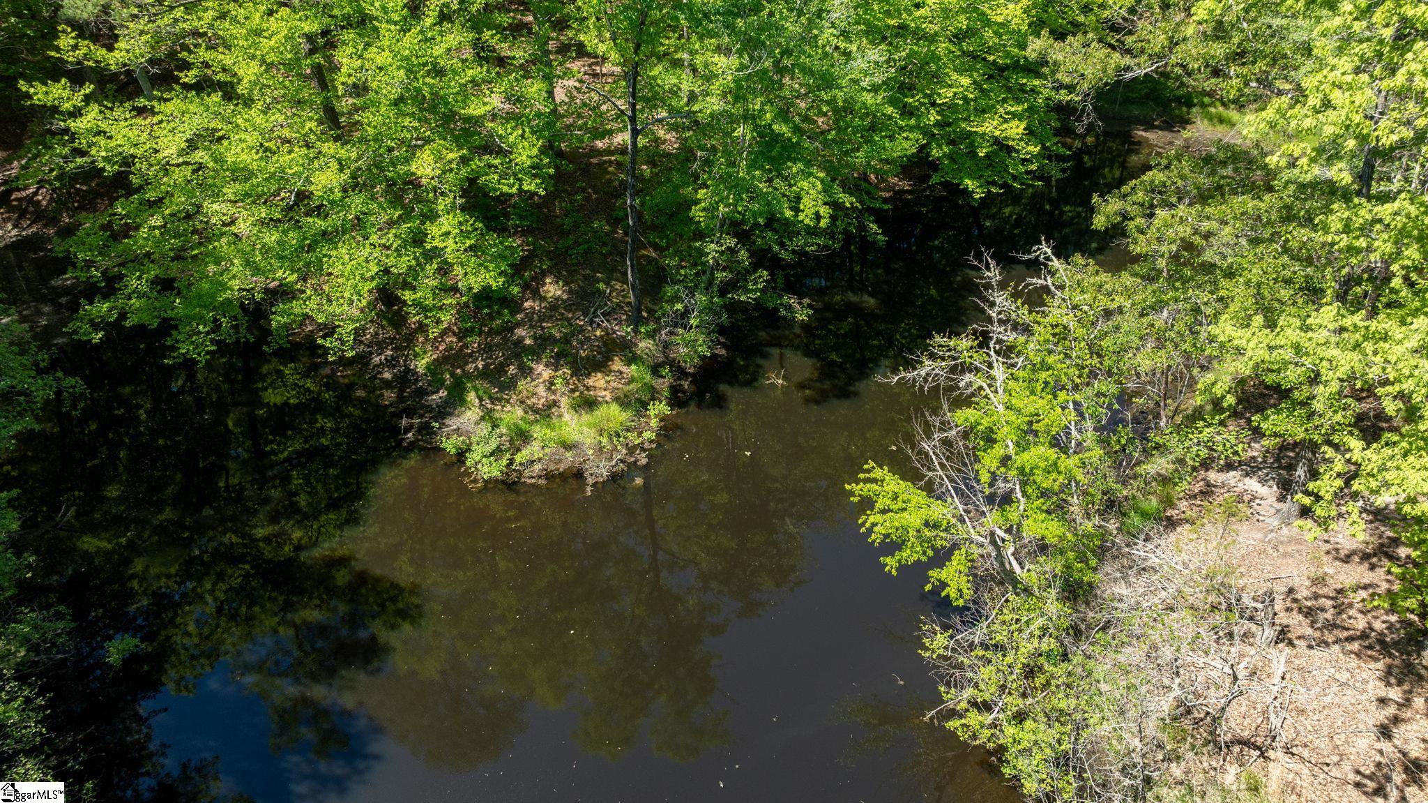 Land in Gaffney 4