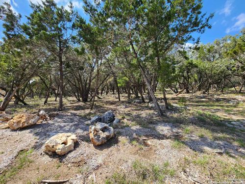 LOT 19 Forest Lake Dr, Spring Branch, TX, 78070 | Card Image