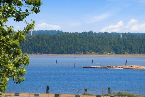 304-104 Esplanade St, Nanaimo, BC, V9R0G6 | Card Image