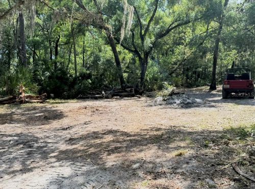 901 Shoals Landing Dr, Brandon, FL, 33511-8407 | Card Image
