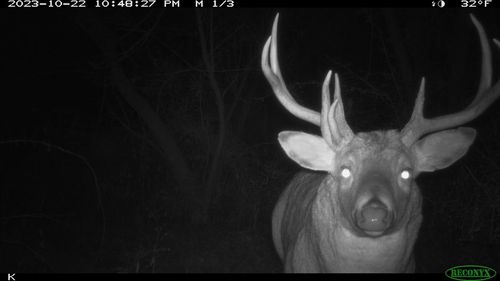 00 Wheat Hollow Rd, Cazenovia, WI, 53924 | Card Image