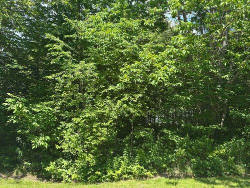 3 Peaslee Road Road, Hancock, ME, 04640 | Card Image