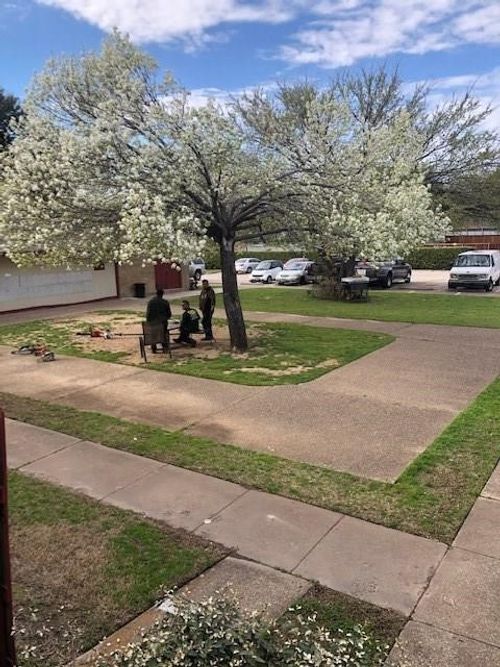 apt-206-919 S Weatherred Dr, Richardson, TX, 75080-7250 | Card Image