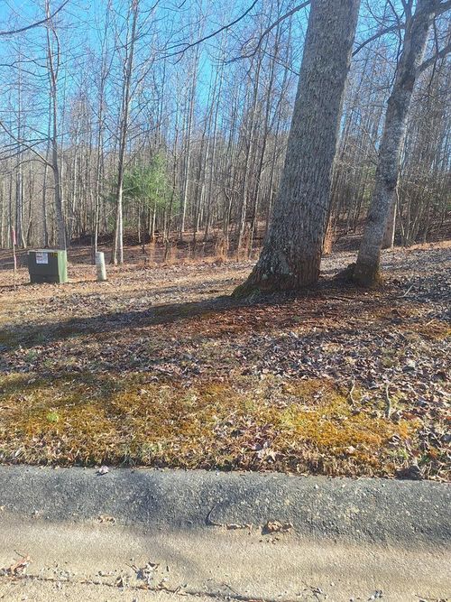 LOT 68 Summit Trce, Blairsville, GA, 30512 | Card Image