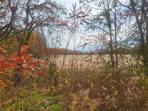 Lot 1 Bush Rd, Rideau Lakes, ON, K0G1E0 | Card Image