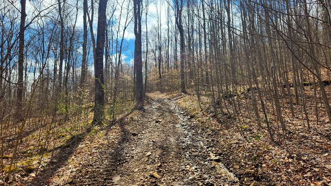 TRACT-1-PIKE-LAKE-GETAWA - 0 Pike Lake Rd, Home with 0 bedrooms, 0 bathrooms and null parking in Bainbridge OH | Image 16