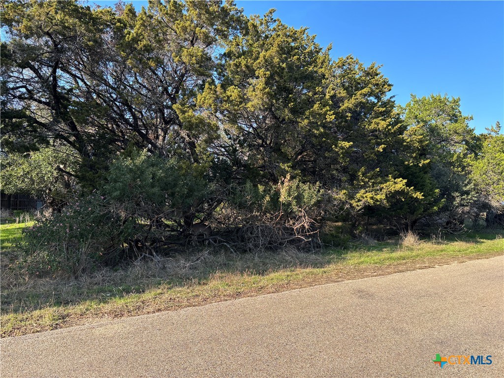 Land in Belton