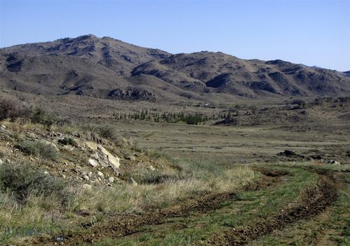 tbd Buffalo Commons, Wheatland, Wyoming, Other, WY, 82201 | Card Image