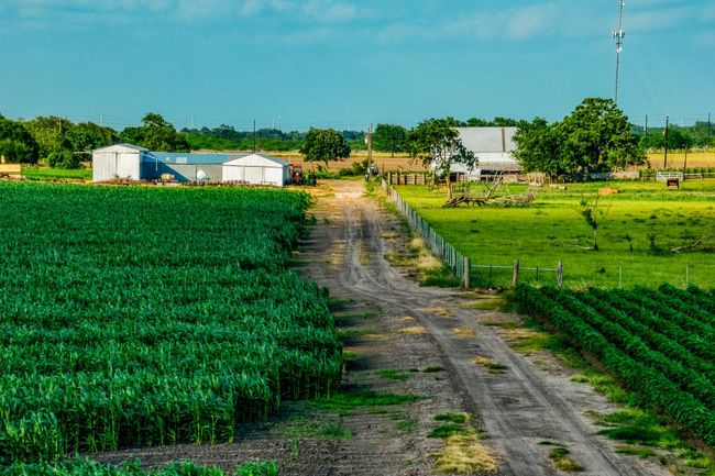 1923 Beasley West End Rd, Home with 0 bedrooms, 0 bathrooms and null parking in Beasley TX | Image 9