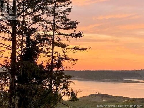 29 Crow Island Rd, Back Bay, NB, E5C2X6 | Card Image