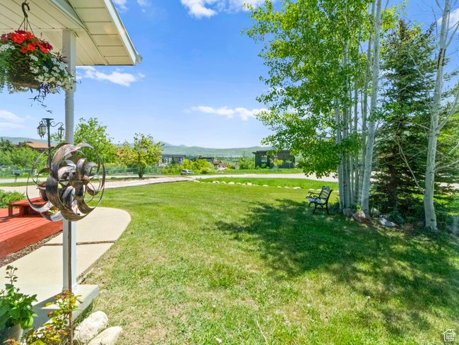 View of yard | Image 24