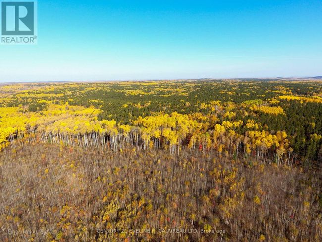 8 & 9 Beauchamp Rd 2 Road, Home with 0 bedrooms, 0 bathrooms and null parking in Timiskaming (TIM - Outside - Rural) ON | Image 6