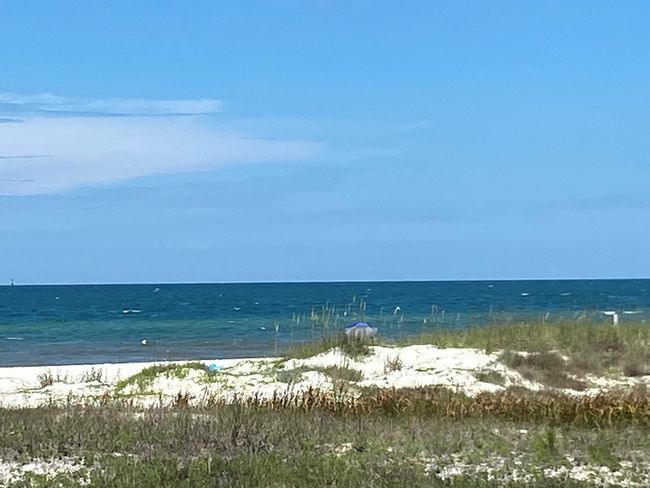117 Atlantic St, Home with 0 bedrooms, 0 bathrooms and null parking in Port St. Joe FL | Image 6