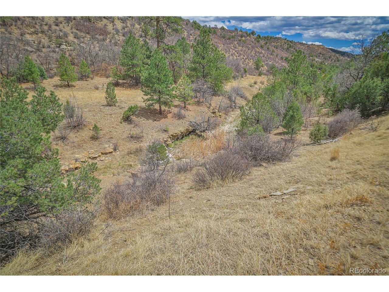 Land in Weston 4
