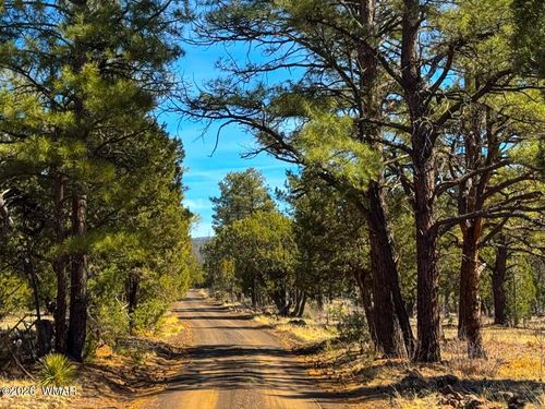 11 Co Rd 3262 5 Acres, Vernon, AZ, 85940 | Card Image