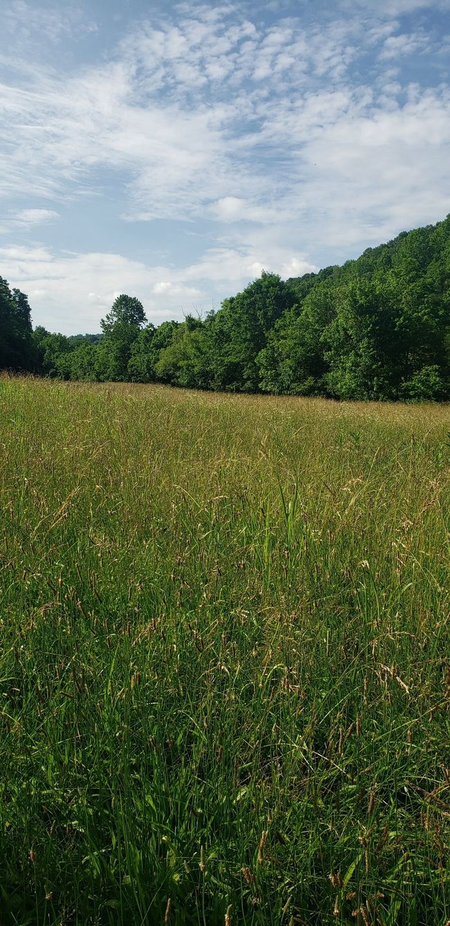 49 Je Sartain Rd, Home with 0 bedrooms, 0 bathrooms and null parking in Manchester TN | Image 33