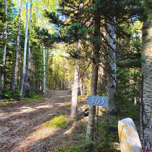 505 Wildflower Dr, Cimarron, CO, 81220-9554 | Card Image