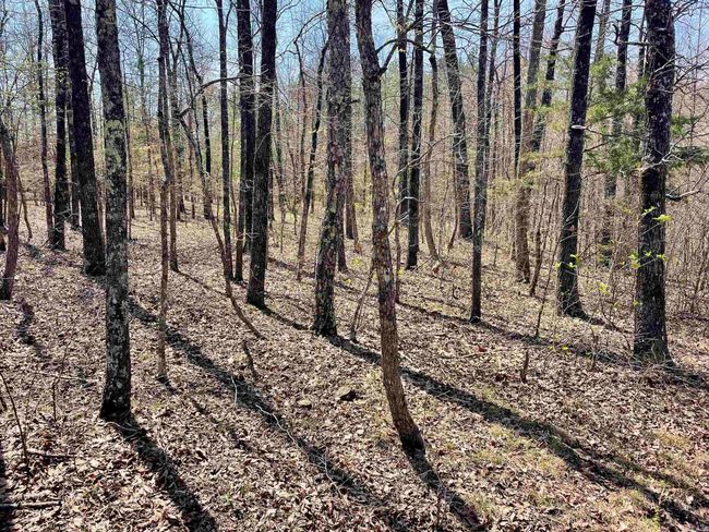 000 Dabney Rd, Home with 0 bedrooms, 0 bathrooms and null parking in Jerusalem AR | Image 20