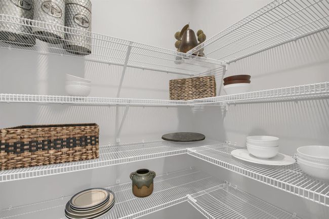Large walk-in pantry. Model photo. | Image 7