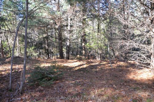 3 Parker Bay Rd, Dunchurch, ON, P0A | Card Image