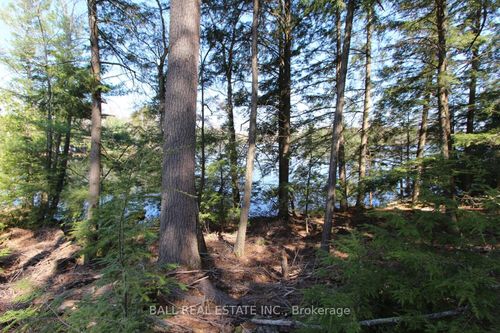 PT2&3 Fire Route 223a, Trent Lakes, ON, K0L1J0 | Card Image