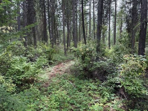 Lot 2 Springdale-Hunters Rd, Springdale, WA, 99173 | Card Image