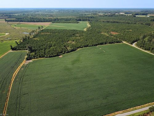 132 Acres Beal Road, Newsoms, VA, 23874 | Card Image