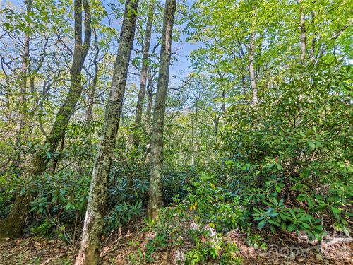 #19 Sleepy Hollow Lane, Waynesville, NC, 28786 | Card Image