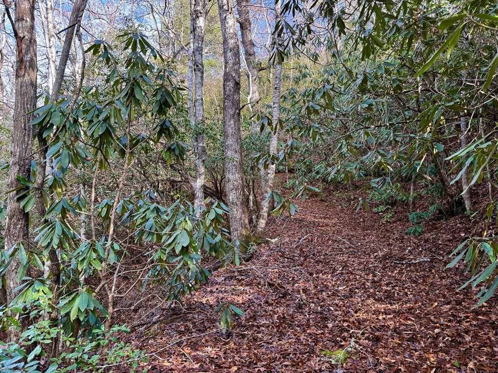 Land in Sylva 5