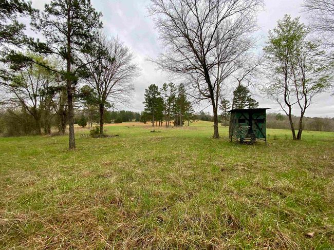 33 Collins Field Rd, Home with 3 bedrooms, 2 bathrooms and null parking in Mount Ida AR | Image 39