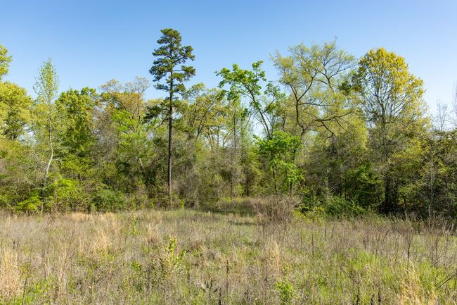 16808 Ridgeline Loop, Home with 0 bedrooms, 0 bathrooms and null parking in Winona TX | Image 6