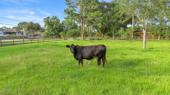 3211 County Road 237, House other with 4 bedrooms, 3 bathrooms and 2 parking in Alvin TX | Image 35