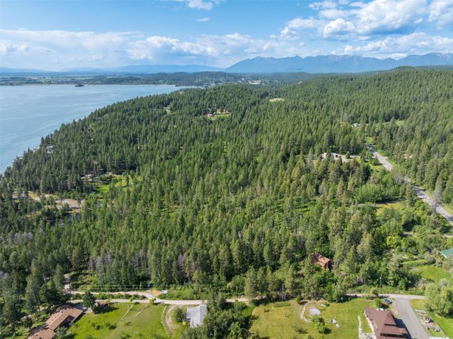 Aerial view of property and surrounding area featuring a forest and a water and mountain view | Image 6
